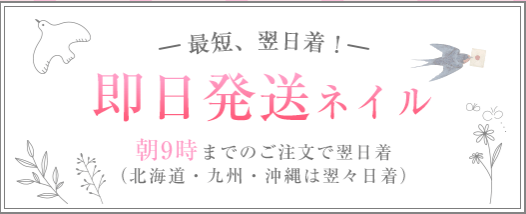 ネイルチップ-つけ爪-専門店ミチネイル-01-12-2026_03_39_PM (1)